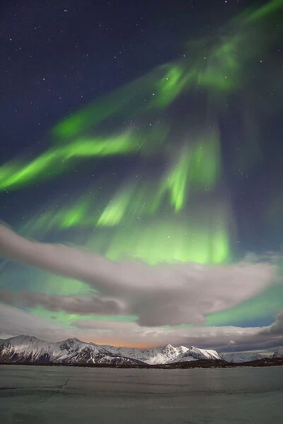 Lofoten, Norway. Aurora Borealis lights up the night sky
