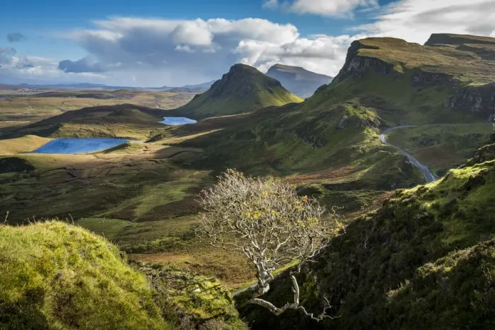 Framed Print : Lone bare tree at Quiraing with views of Loch Leum nu Luirginn and Loch Cleat, Isle Framed Print : Lone bare tree at Quiraing with views of Loch Leum nu Luirginn and Loch Cleat, Isle