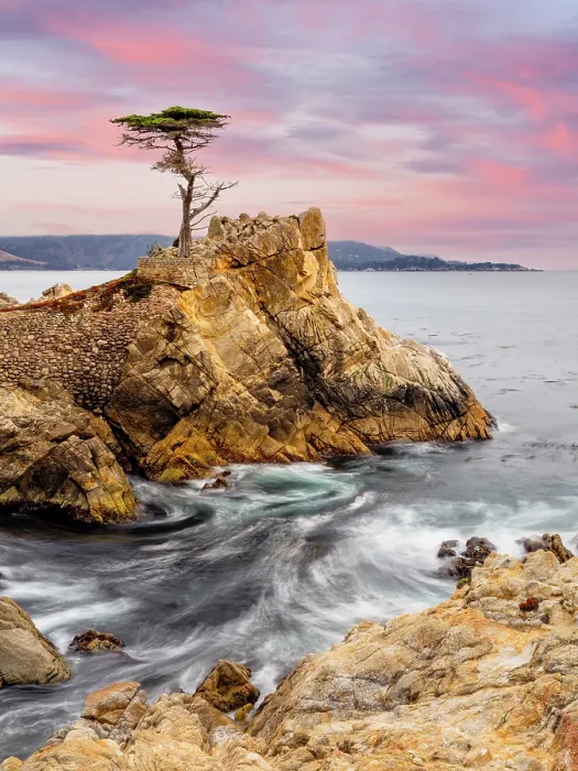 Framed Print : Lone Cypress, Pebble Beach, Monterey Peninsula, California, USA Framed Print : Lone Cypress, Pebble Beach, Monterey Peninsula, California, USA