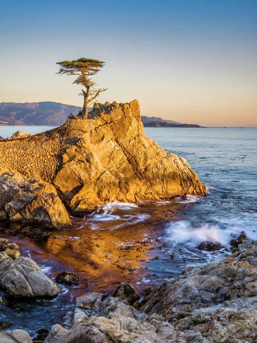 Framed Print : Lone Cypress, Pebble Beach, Monterey Peninsula, California, USA Framed Print : Lone Cypress, Pebble Beach, Monterey Peninsula, California, USA