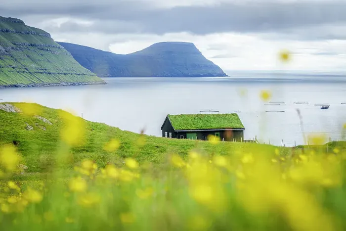Framed Print : Lone grass roof house framed by flowering meadows in summer, Sydrugota, Eysturoy Island, Faroe Islands Framed Print : Lone grass roof house framed by flowering meadows in summer, Sydrugota, Eysturoy Island, Faroe Islands