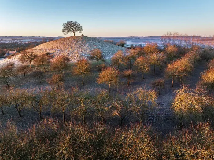 Framed Print : The lone hilltop tree at Burrow Hill Cider Farm, Somerset, England. Winter (January) 2024 Framed Print : The lone hilltop tree at Burrow Hill Cider Farm, Somerset, England. Winter (January) 2024