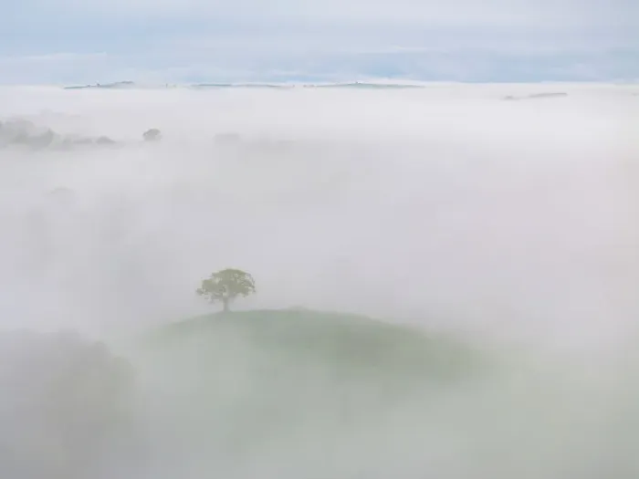 Framed Print : Lone hilltop tree emerges from a sea of morning mist, Devon, England. Spring (May) 2024 Framed Print : Lone hilltop tree emerges from a sea of morning mist, Devon, England. Spring (May) 2024