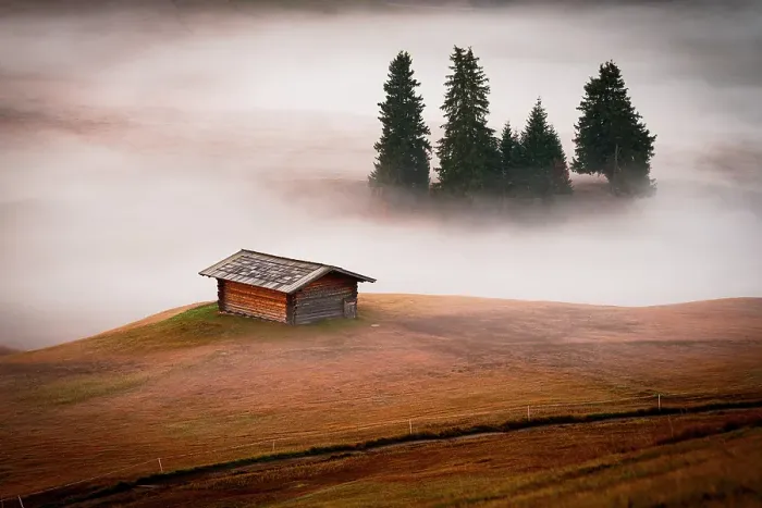 Framed Print : Lone mountain hut and sparse trees covered by fog at fall, Seiser Alm, Dolomites, South Tyrol, Italy Framed Print : Lone mountain hut and sparse trees covered by fog at fall, Seiser Alm, Dolomites, South Tyrol, Italy