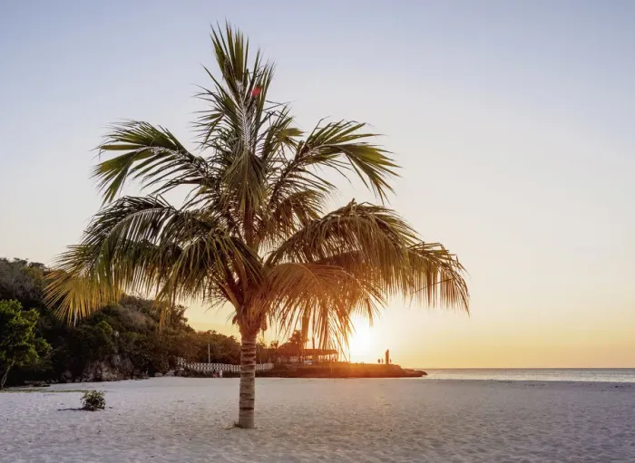 Framed Print : Lone Palm Tree at Guardalavaca Beach, sunset, Holguin Province, Cuba