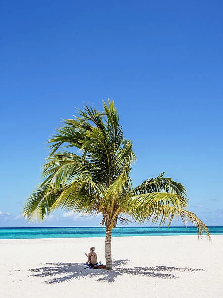 Lone Palm Tree, Guardalavaca Beach, Holguin Province, Cuba