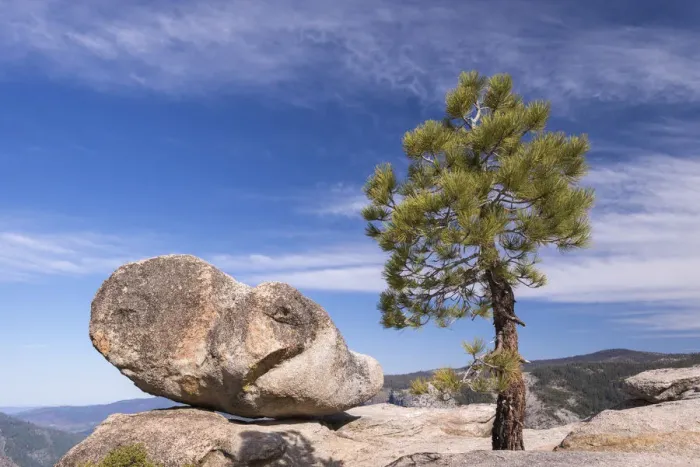 Framed Print : Lone pine tree and boulder on Taft Point above Yosemite Valley, California, USA. Spring Framed Print : Lone pine tree and boulder on Taft Point above Yosemite Valley, California, USA. Spring
