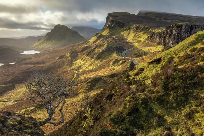 Framed Print : Lone Rowan tree on the Quiraing, with the Trotternish Ridge beyond, Isle of Skye, Scotland. Winter (February) 2025 Framed Print : Lone Rowan tree on the Quiraing, with the Trotternish Ridge beyond, Isle of Skye, Scotland. Winter (February) 2025