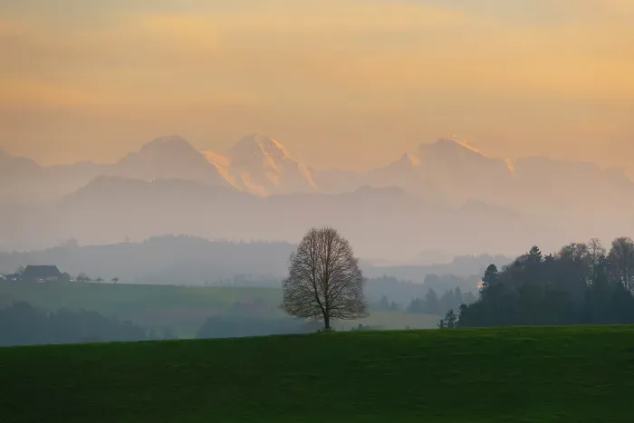 Framed Print : Lone tree with Eiger, Monch, Jungfrau behind, Emmental, Berner Oberland, Switzerland Framed Print : Lone tree with Eiger, Monch, Jungfrau behind, Emmental, Berner Oberland, Switzerland