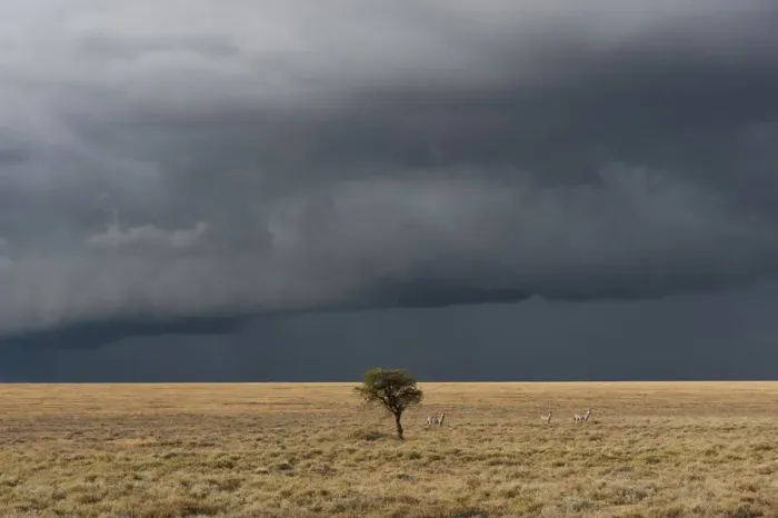 Framed Print : Lone tree on horizon with stormy sky in background Framed Print : Lone tree on horizon with stormy sky in background