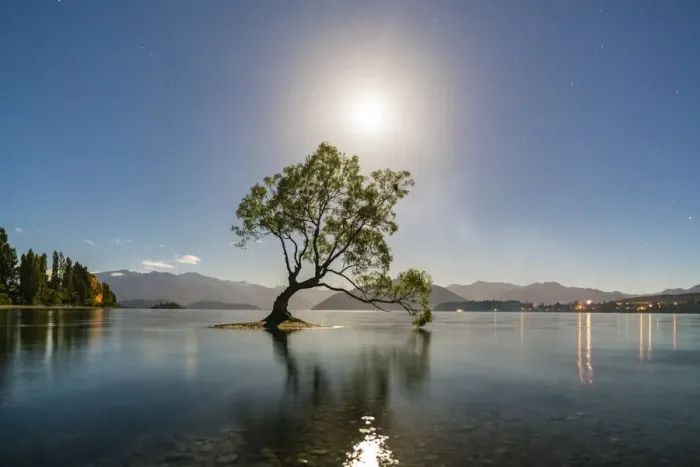 Framed Print : The lone tree in Lake Wanaka under the moonlight. Wanaka, Queenstown Lakes district