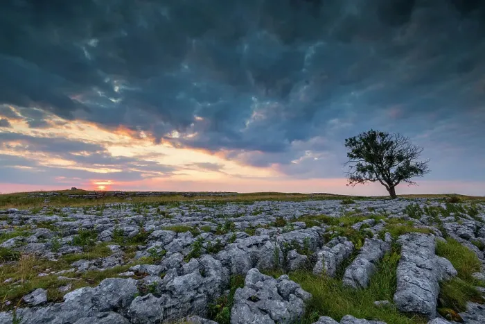 Framed Print : Lone Tree on Limestone Pavement at Sunrise, Malham, Yorkshire Dales, England Framed Print : Lone Tree on Limestone Pavement at Sunrise, Malham, Yorkshire Dales, England