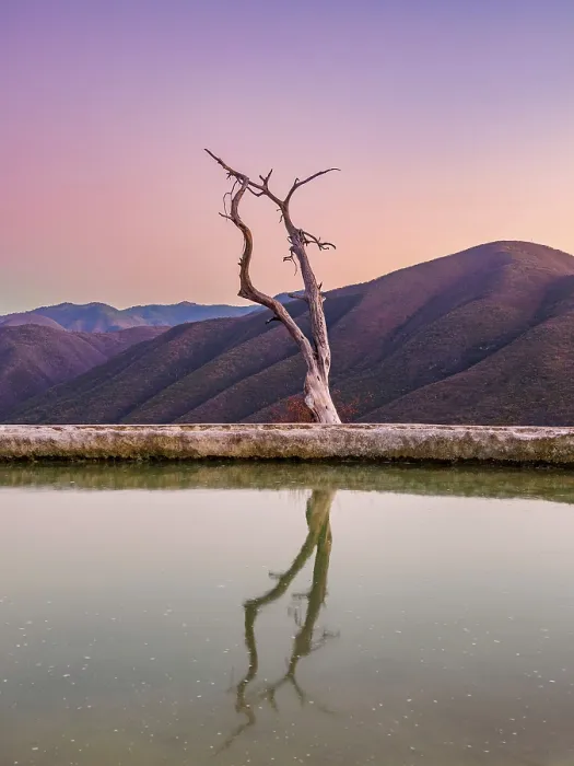 Framed Print : Lone Tree by the pool, Hierve el Agua, dusk, San Lorenzo Albarradas, Oaxaca State, Mexico Framed Print : Lone Tree by the pool, Hierve el Agua, dusk, San Lorenzo Albarradas, Oaxaca State, Mexico