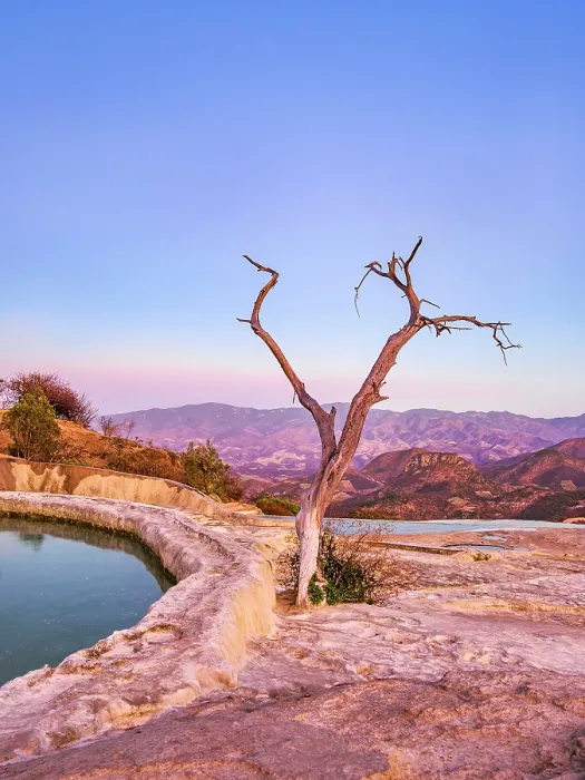 Framed Print : Lone Tree by the pool, Hierve el Agua, dusk, San Lorenzo Albarradas, Oaxaca State, Mexico Framed Print : Lone Tree by the pool, Hierve el Agua, dusk, San Lorenzo Albarradas, Oaxaca State, Mexico
