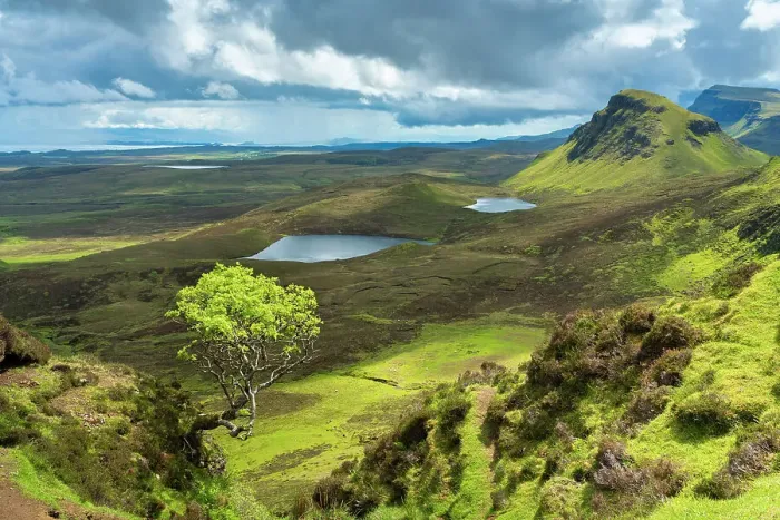 Framed Print : Lone tree at Quiraing with views of Loch Leum nu Luirginn and Loch Cleat, Isle of Skye, Highland Region, Scotland, United Kingdom Framed Print : Lone tree at Quiraing with views of Loch Leum nu Luirginn and Loch Cleat, Isle of Skye, Highland Region, Scotland, United Kingdom