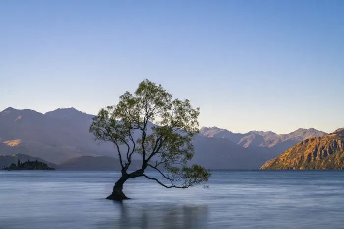 Framed Print : Lone tree in Roys Bay on Wanaka Lake against clear sky during sunset, Wanaka Framed Print : Lone tree in Roys Bay on Wanaka Lake against clear sky during sunset, Wanaka