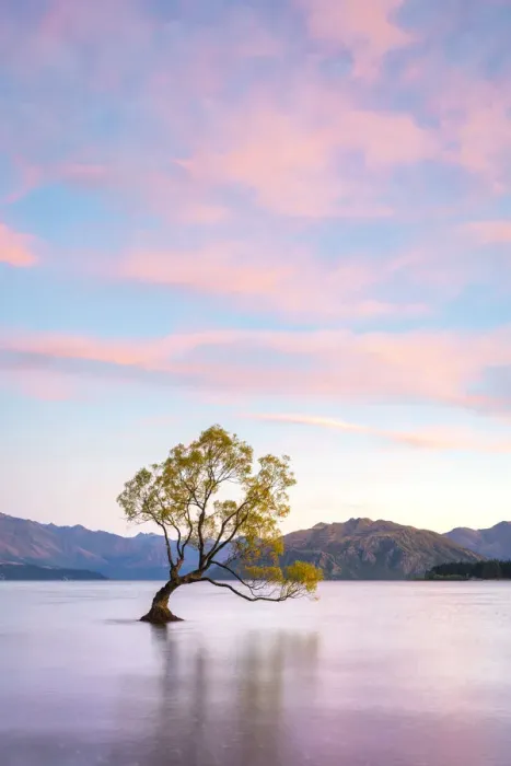 Framed Print : Lone tree in Roys Bay on Wanaka Lake against sky at sunrise, Wanaka Framed Print : Lone tree in Roys Bay on Wanaka Lake against sky at sunrise, Wanaka