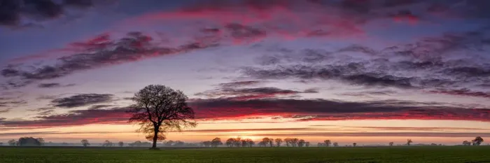 Framed Print : Lone Tree at Sunrise, Norfolk, England Framed Print : Lone Tree at Sunrise, Norfolk, England