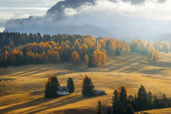The lonely cabins of the Alpe di Siusi (Seiser Alm) during a peaceful autumn morning, with the mountains in the background. Dolomites, Italy