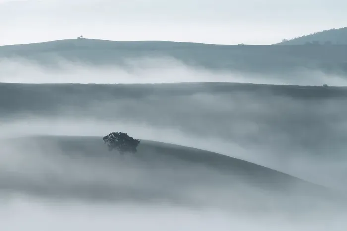 Framed Print : A lonely chestnut tree appearing through the sea of fog on a humid autumn morning in the rolling hills of Tuscany. Val d'Orcia, Italy Framed Print : A lonely chestnut tree appearing through the sea of fog on a humid autumn morning in the rolling hills of Tuscany. Val d'Orcia, Italy