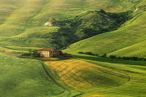 A lonely countryhouse in the heart of the Siena countryside during a spring afternoon