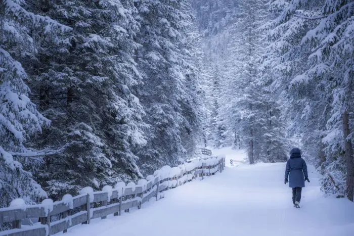 Framed Print : Lonely girl walking on a snowy path, winter landscape, Dolomites Alps, Italy Framed Print : Lonely girl walking on a snowy path, winter landscape, Dolomites Alps, Italy