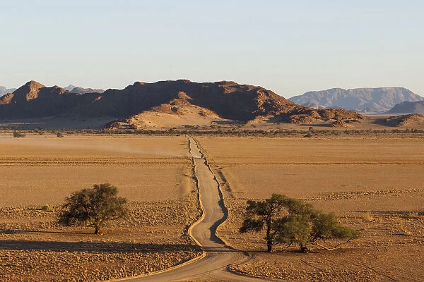 Lonely road to the Savannah; Damarland; Namibia; Southern Africa