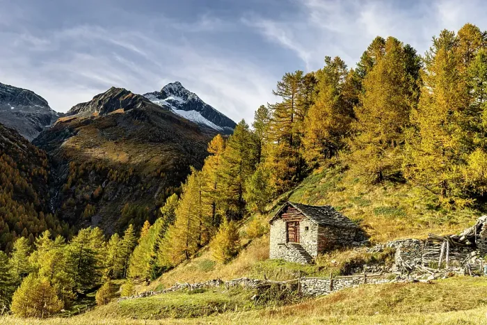Framed Print : Lonely traditional house in the pasture in autumn. Chiareggio, Valmalenco, Valtellina, Italy Framed Print : Lonely traditional house in the pasture in autumn. Chiareggio, Valmalenco, Valtellina, Italy