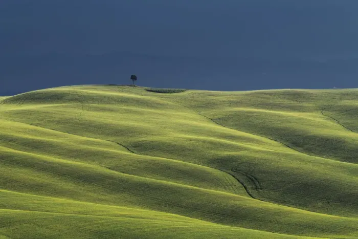 Framed Print : A lonely tree standing on top of the hill. Crete Senesi, Tuscany, Italy Framed Print : A lonely tree standing on top of the hill. Crete Senesi, Tuscany, Italy