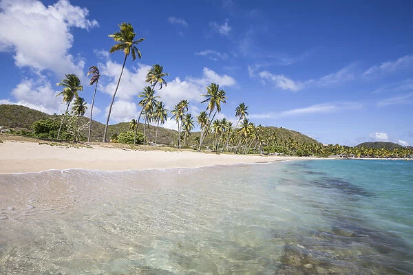 The long beach surrounded by palm trees and the Caribbean Sea Carlisle Morris Bay Antigua