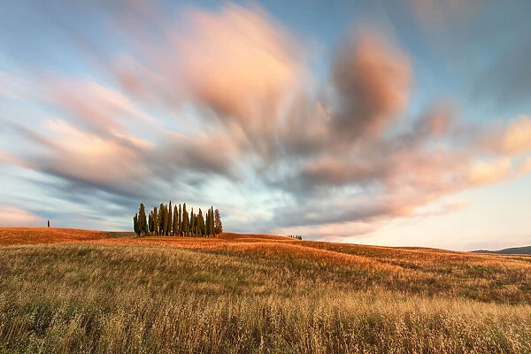 a long exposure to capture the sunset near the iconic Cypresses of San Quirico d