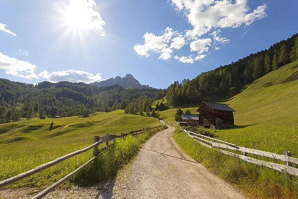 Longiaru, San Martino in Badia, Badia Valley, Dolomites, Bolzano province, South Tyrol, Italy. A footpath with Sass da Putia in the background