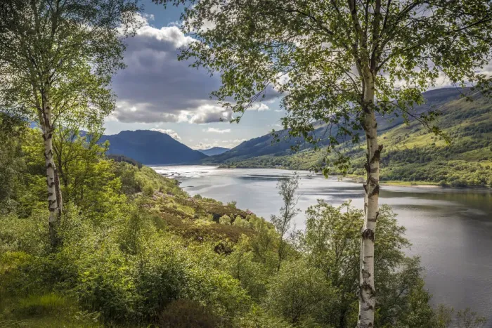 Framed Print : Lookout above Loch Leven looking west, Kinlochleven, Highlands, Scotland, Great Britain Framed Print : Lookout above Loch Leven looking west, Kinlochleven, Highlands, Scotland, Great Britain