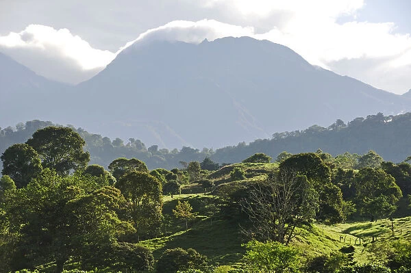 Looming shadow of Volcan Baru overlooking Rain Forest below, Panama, Central America
