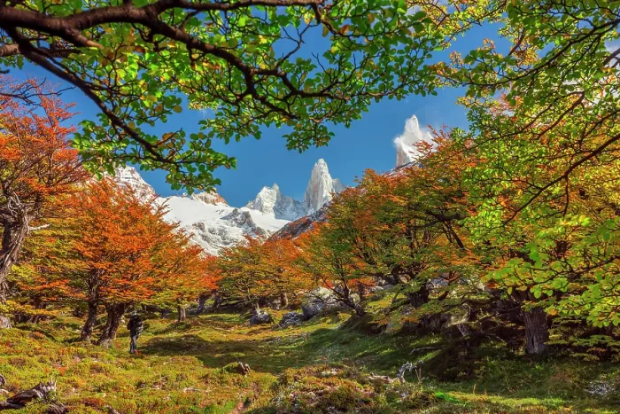 Framed Print : Los Glaciares National Park near El Chalten with Fitzroy peak in the background, Patagonia, Argentina Framed Print : Los Glaciares National Park near El Chalten with Fitzroy peak in the background, Patagonia, Argentina