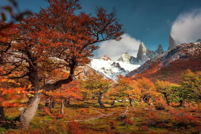 Framed Print : Los Glaciares National Park near El Chalten with Fitzroy peak in the background, Patagonia, Argentina Framed Print : Los Glaciares National Park near El Chalten with Fitzroy peak in the background, Patagonia, Argentina