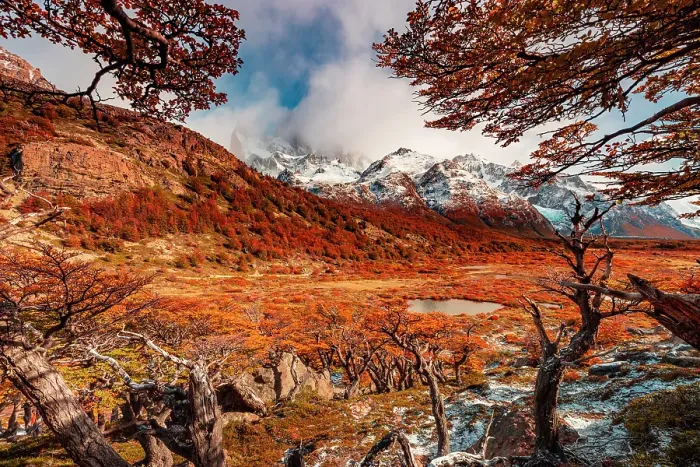 Framed Print : Los Glaciares National Park near El Chalten with Fitzroy peak in the background, Patagonia, Argentina Framed Print : Los Glaciares National Park near El Chalten with Fitzroy peak in the background, Patagonia, Argentina