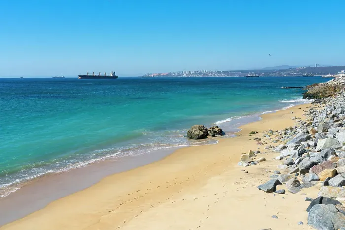 Framed Print : Los Placeres beach on sunny day, Valparaiso, Valparaiso Province, Valparaiso Region, Chile