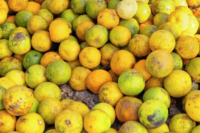 Framed Print : a lot of fresh fruits in the market of Mkokotoni, Zanzibar, Tanzania