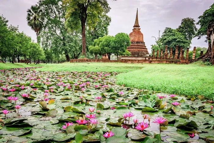 Framed Print : Lotus flowers floating on water in the green meadows surrounding Wat Sa Si temple, Sukhothai Historical Park, Sukhothai, Thailand Framed Print : Lotus flowers floating on water in the green meadows surrounding Wat Sa Si temple, Sukhothai Historical Park, Sukhothai, Thailand