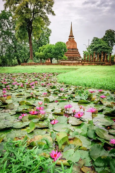 Framed Print : Lotus water lily floating in a pond with Wat Sa Si buddhist temple on background, Sukhothai Historical Park, Sukhothai, Thailand Framed Print : Lotus water lily floating in a pond with Wat Sa Si buddhist temple on background, Sukhothai Historical Park, Sukhothai, Thailand