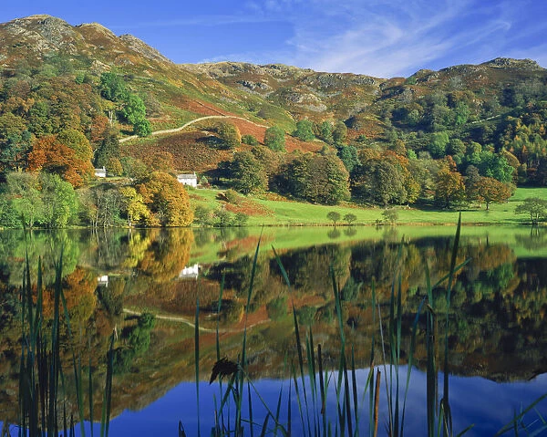 Loughrigg Tarn Reflections, Lake District National Park, Cumbria, England