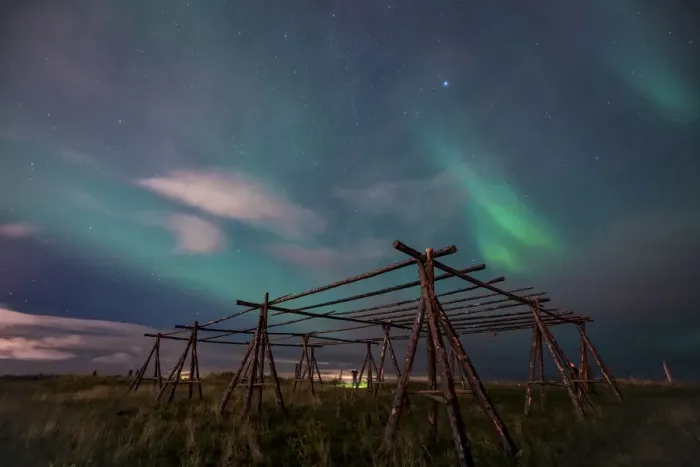 Framed Print : Low angle view Aurora borealis over wooden stands for fish drying at night, Reykjavik Framed Print : Low angle view Aurora borealis over wooden stands for fish drying at night, Reykjavik