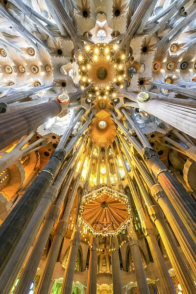 Low angle view of the ceiling in the nave, Sagrada Familia, Barcelona, Catalonia, Spain