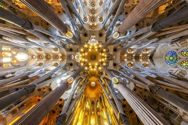 Low angle view of the ceiling in the nave, Sagrada Familia, Barcelona, Catalonia, Spain