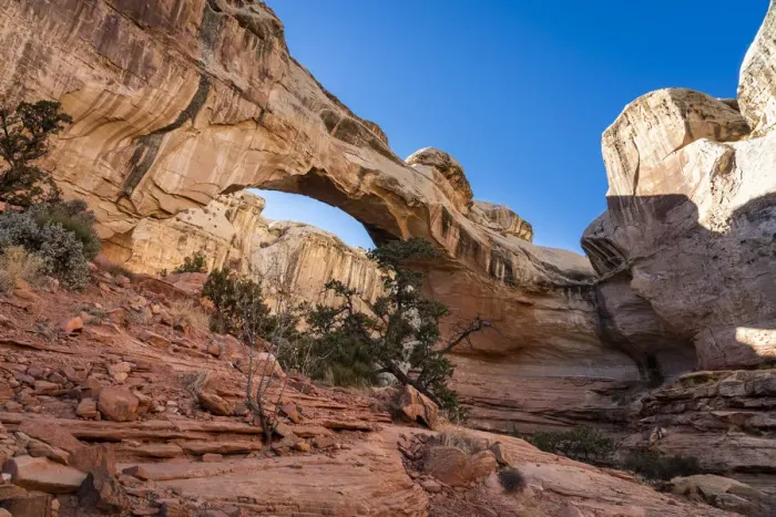 Framed Print : Low angle view of Hickman Natural Bridge, Capitol Reef National Park, Utah Framed Print : Low angle view of Hickman Natural Bridge, Capitol Reef National Park, Utah