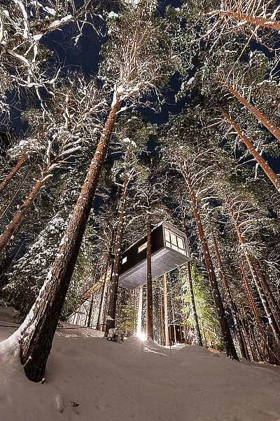 Low angle view of wood cottage amongst tall trees in the snow, accommodation for tourists at Tree hotel, Harads, Lapland, Sweden
