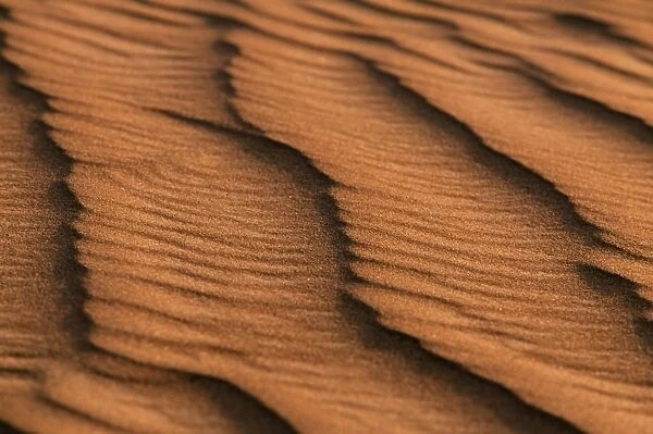 Low light and shadows highlight ridges made by the wind in the sand dunes