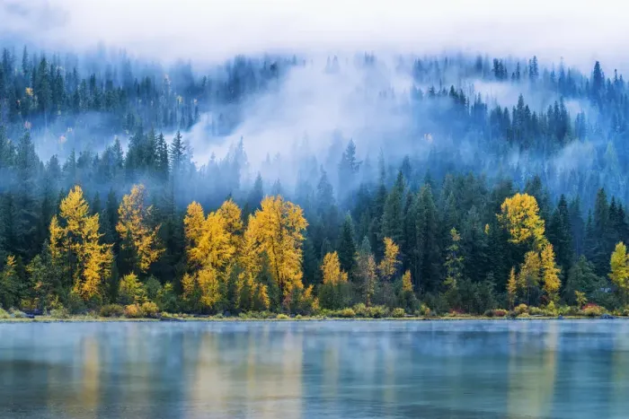 Framed Print : Low Mist and Autumn Trees Reflecting in Lake Wenatchee, Wenatchee National Forest Framed Print : Low Mist and Autumn Trees Reflecting in Lake Wenatchee, Wenatchee National Forest