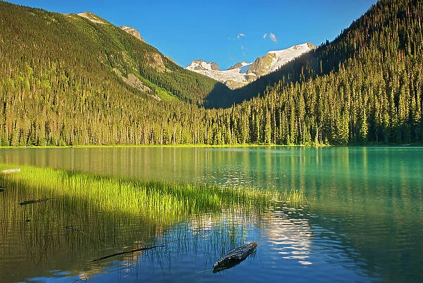 Lower Joffre Lake Joffre Lakes Provincial Park, British Columbia, Canada